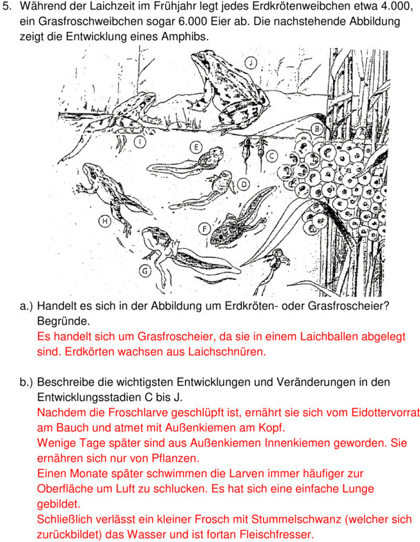 Klassenarbeit Biologie Klasse 5 Gymnasium Wechselwarme Tiere Klassenarbeit zu Wechselwarme Tiere