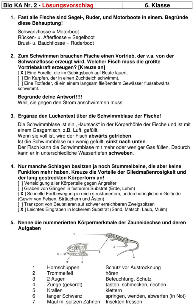 Klassenarbeit Biologie Klasse 5 Gymnasium Wechselwarme Tiere Klassenarbeit zu Wechselwarme Tiere