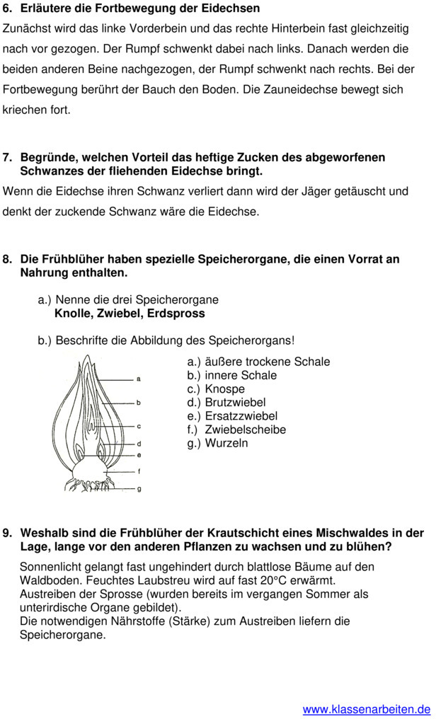 Klassenarbeit Biologie Klasse 5 Gymnasium Wechselwarme Tiere Klassenarbeit zu Wechselwarme Tiere