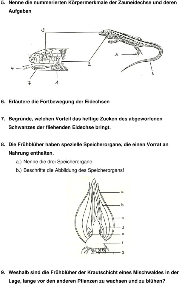 Klassenarbeit zu Wechselwarme Tiere
