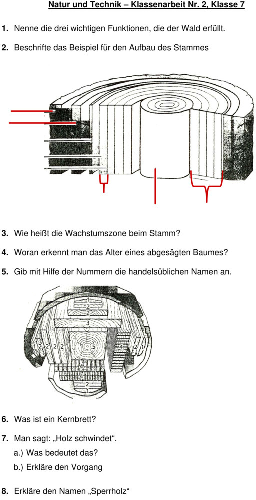 Klassenarbeit zu Wald und Holz
