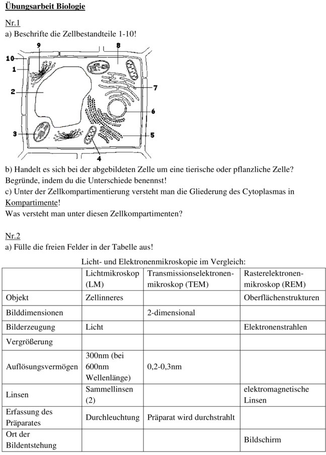 Biologie 5. Klasse Gymnasium Klassenarbeit Klassenarbeit zu Zellbiologie