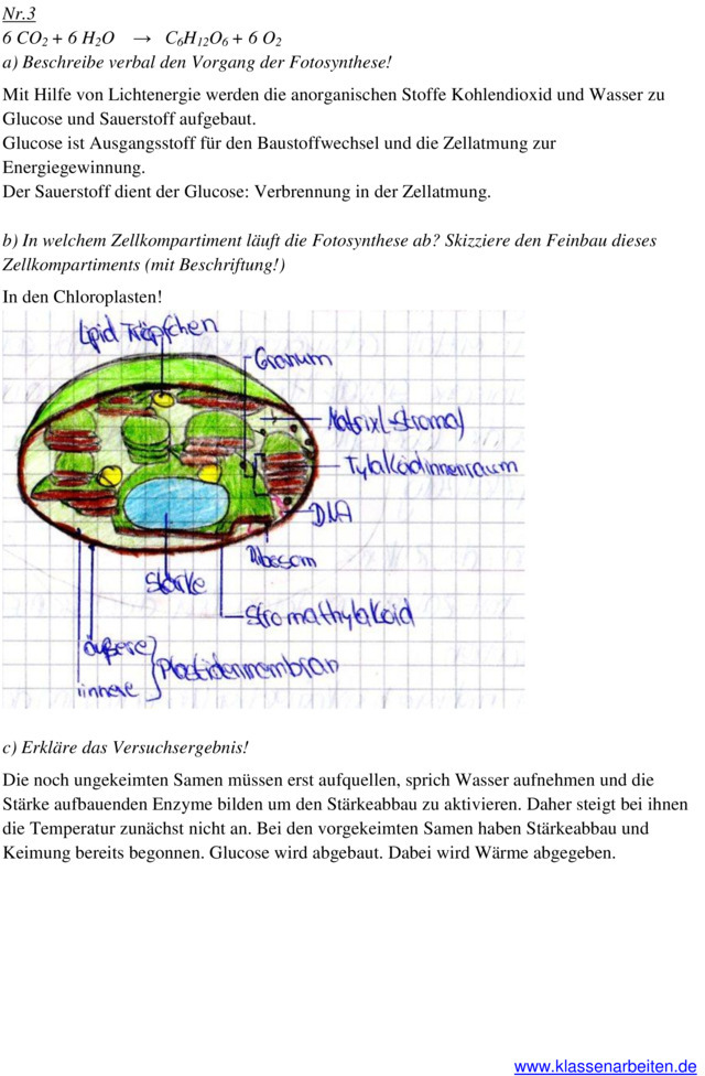 Biologie 11 Klasse Zellbiologie Klausur Klassenarbeit zu Zellbiologie