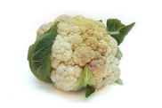 Kohl, Farbe, White, Lecker, Gemüse